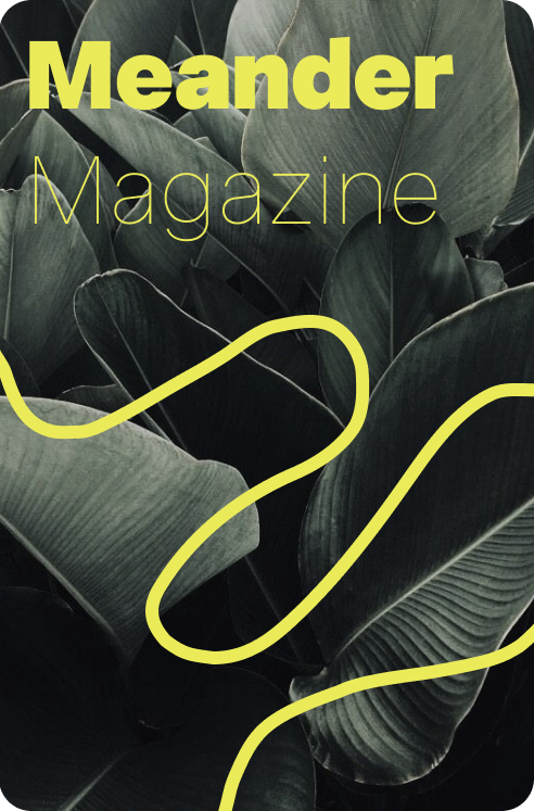 meander cover c